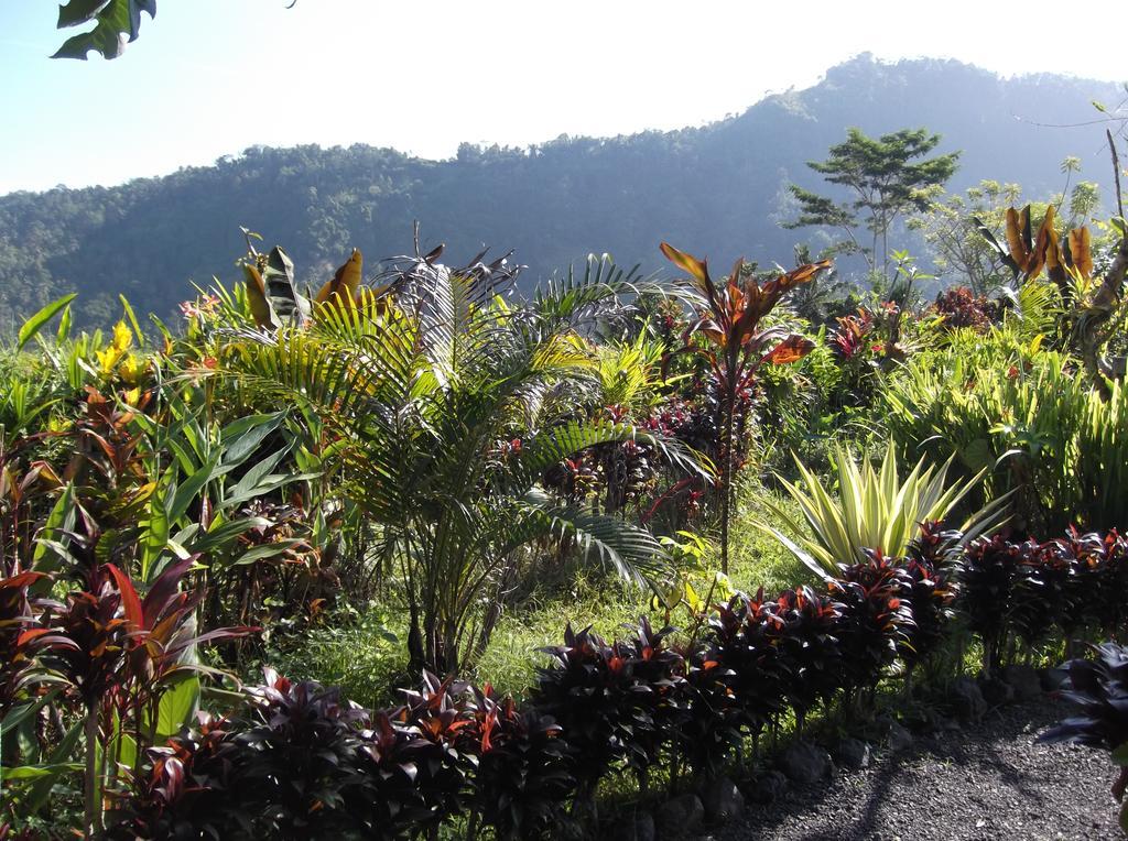 Bed and Breakfast The Bukit Artha Sidemen  Exterior foto