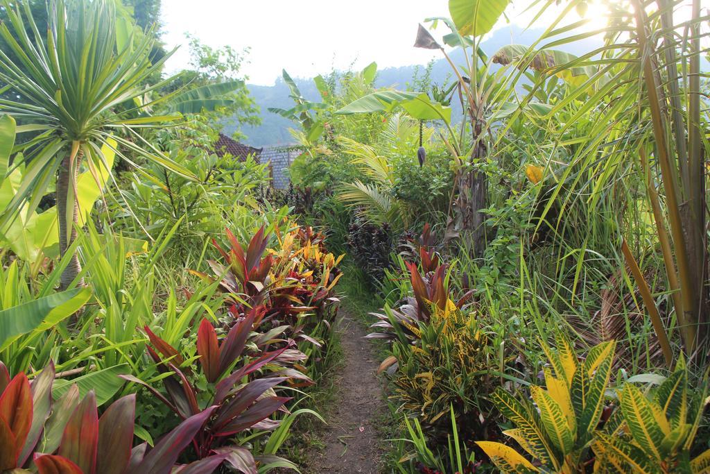 Bed and Breakfast The Bukit Artha Sidemen  Exterior foto