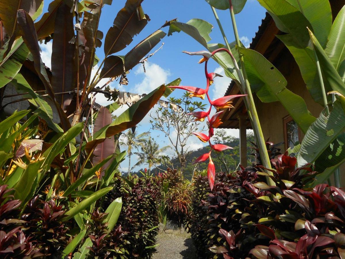 Bed and Breakfast The Bukit Artha Sidemen  Exterior foto