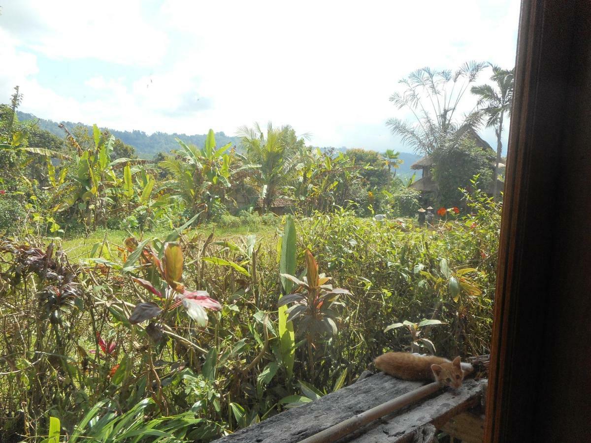 Bed and Breakfast The Bukit Artha Sidemen  Exterior foto