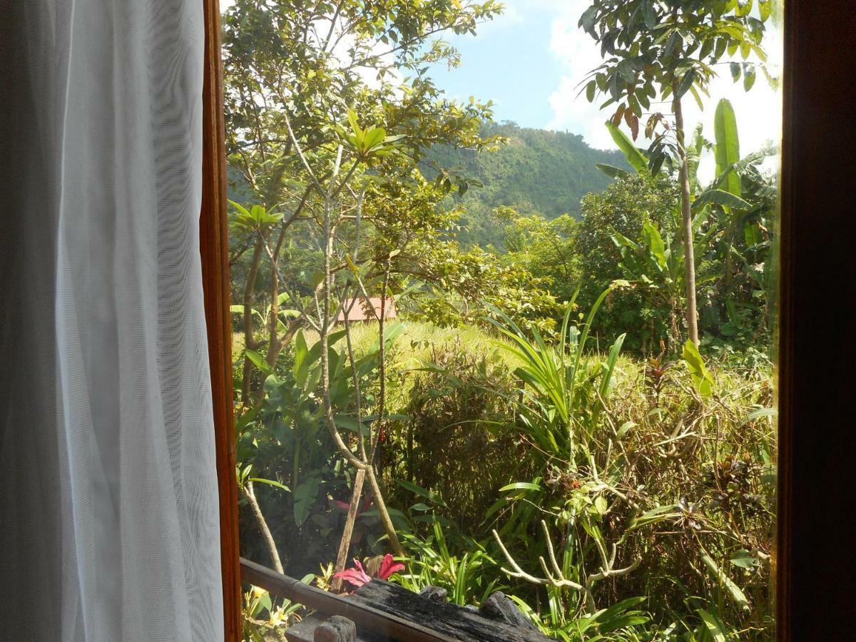 Bed and Breakfast The Bukit Artha Sidemen  Exterior foto
