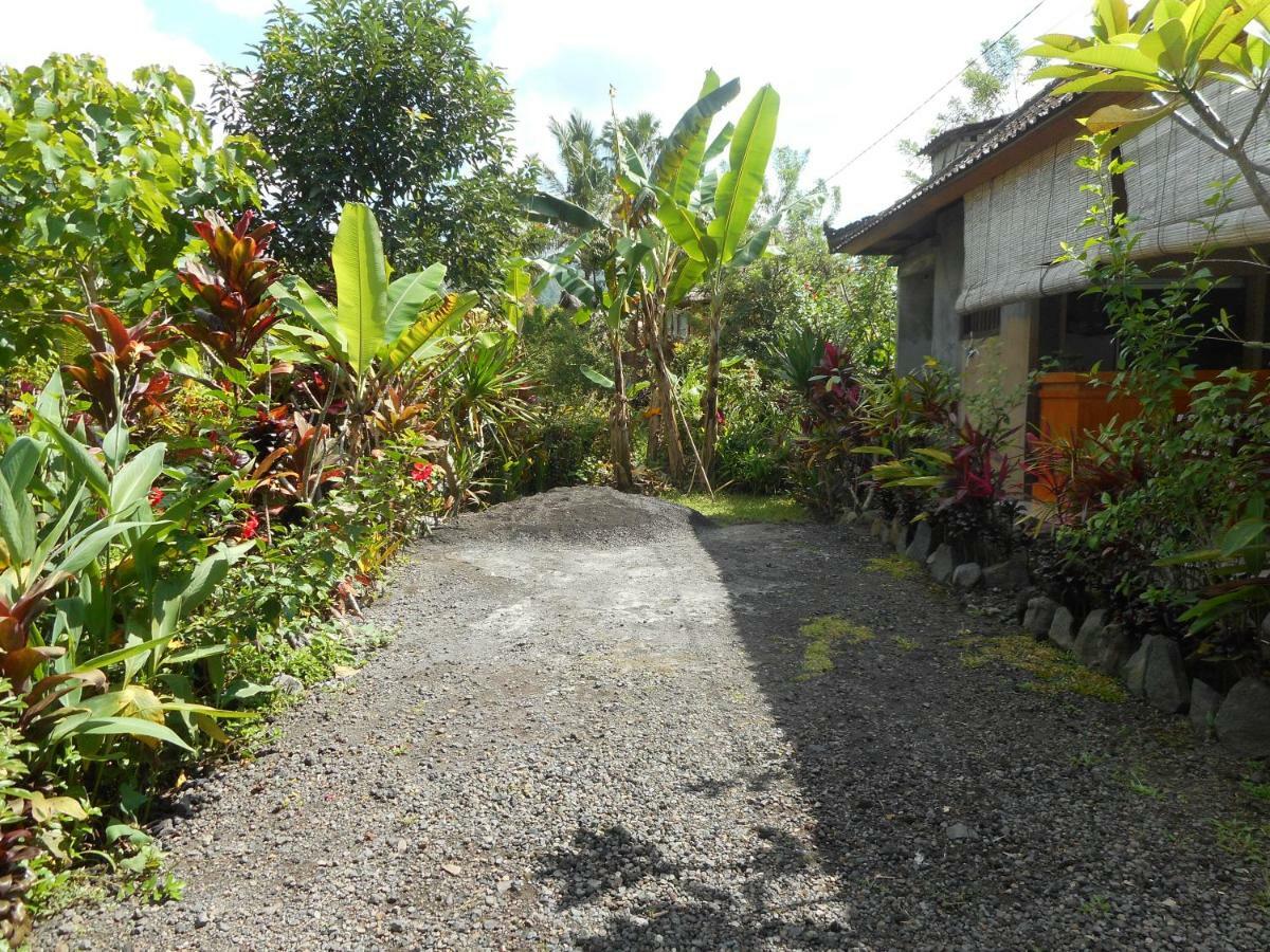 Bed and Breakfast The Bukit Artha Sidemen  Exterior foto