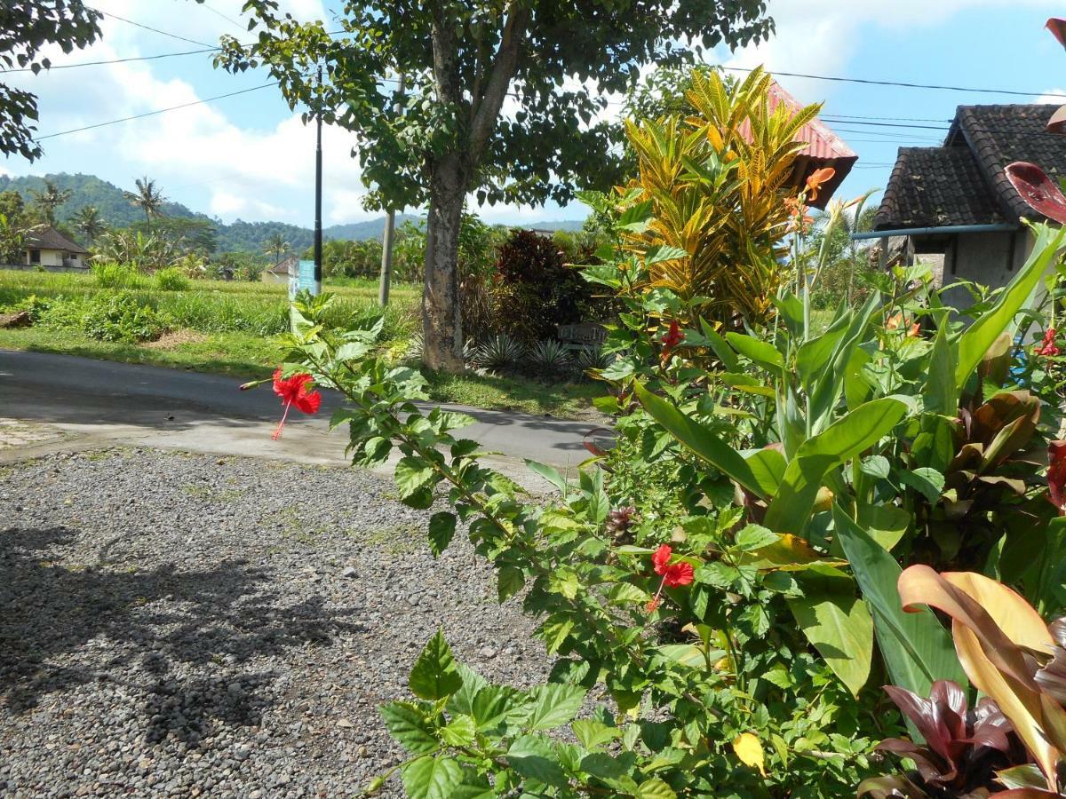 Bed and Breakfast The Bukit Artha Sidemen  Exterior foto