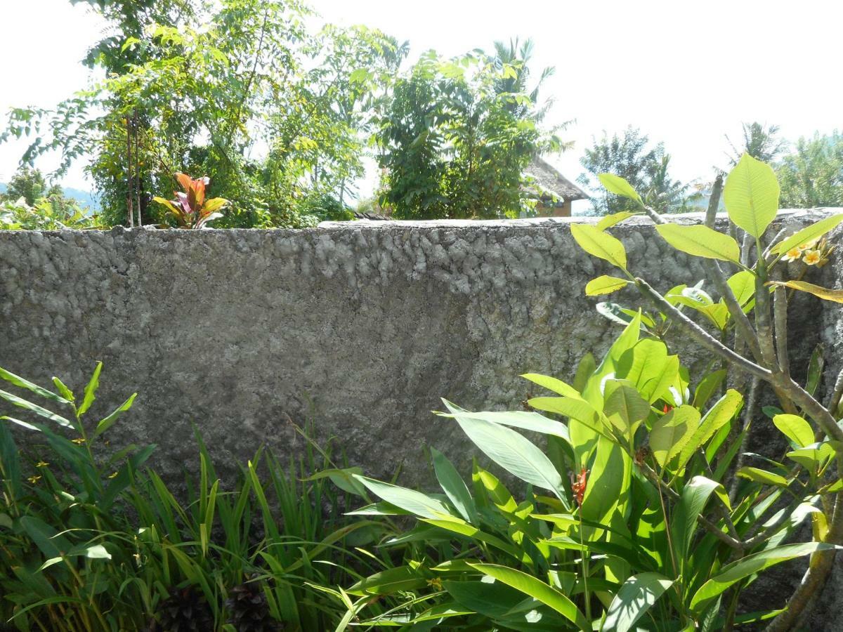 Bed and Breakfast The Bukit Artha Sidemen  Exterior foto